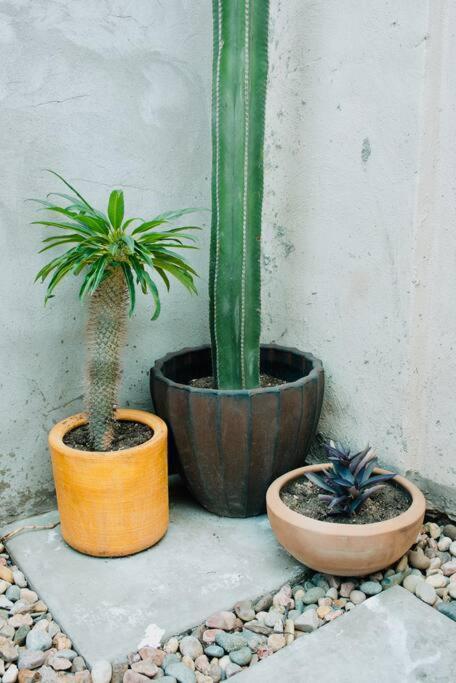 Charming 3Br Oasis, 5 Min Fr Usa - Ac In Every Rm Ciudad Juarez Exterior photo